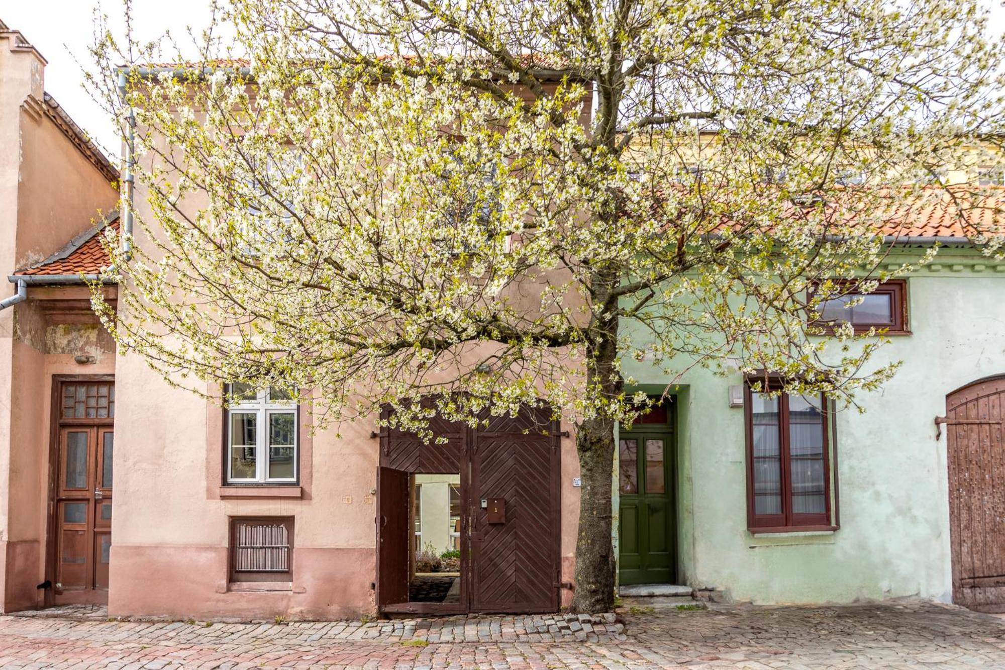 In The Heart Of The Old Town Vip Apartment Klaipeda Ngoại thất bức ảnh